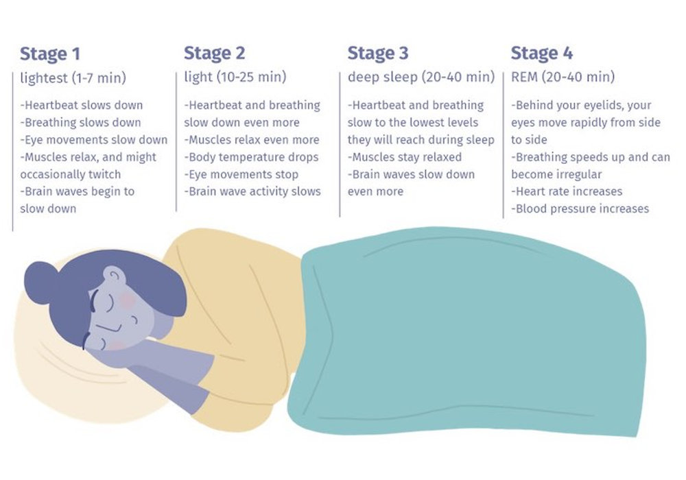 In Sync with Nature: Understanding Your Body's Natural Sleep Cycle