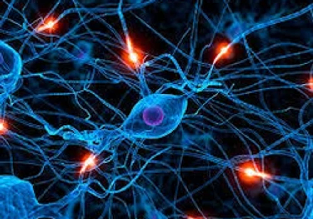 The brain-bladder tango.