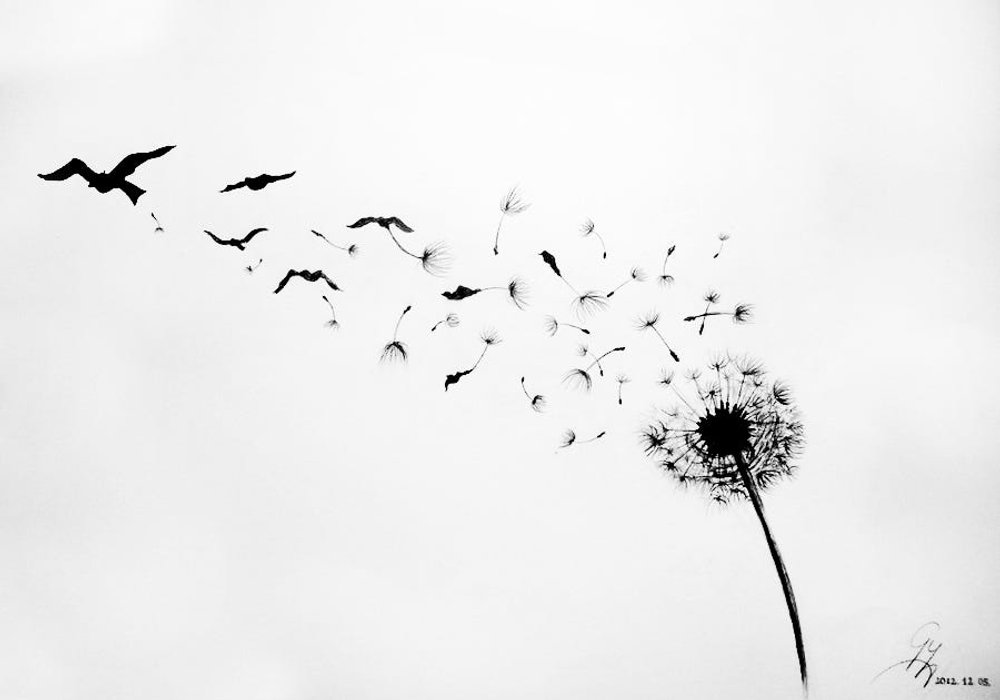 Letting Go of the Little Stuff: Decluttering Your Mind 🧹 #Minimalism #Mindfulness #DeclutterYourMind #LetGo #InnerPeace