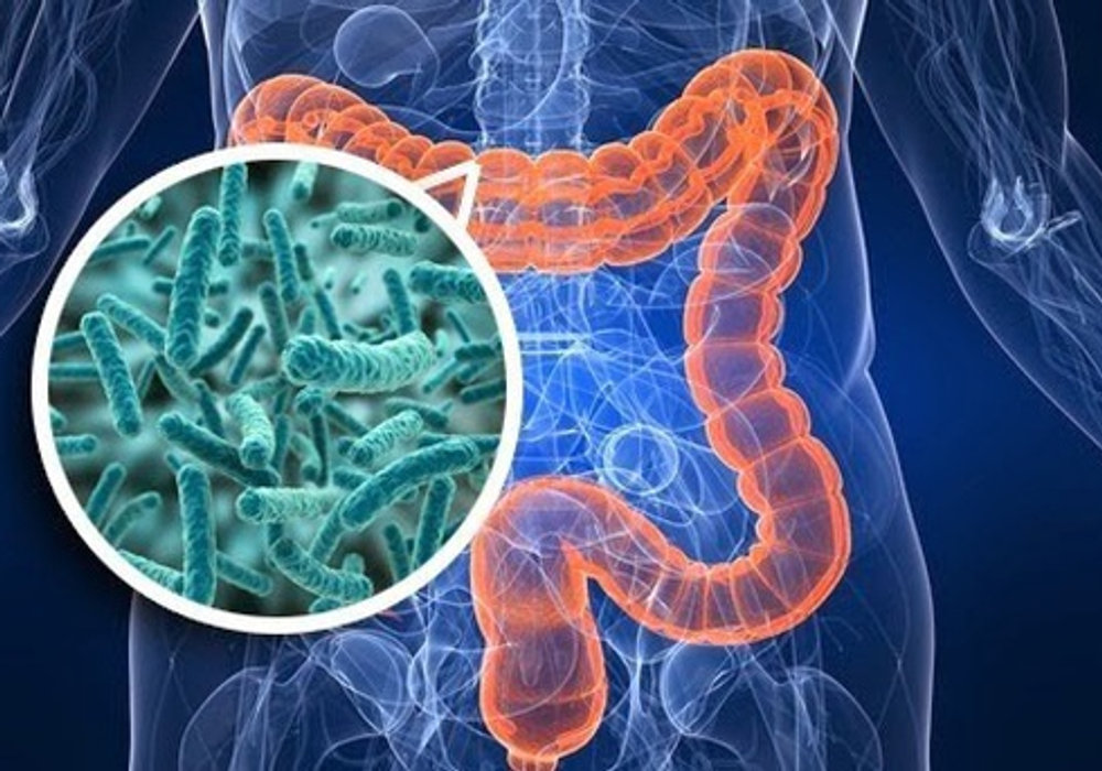 Unlocking the Potential: How Your Gut Microbiome Impacts Pediatric Surgery and Children's Health