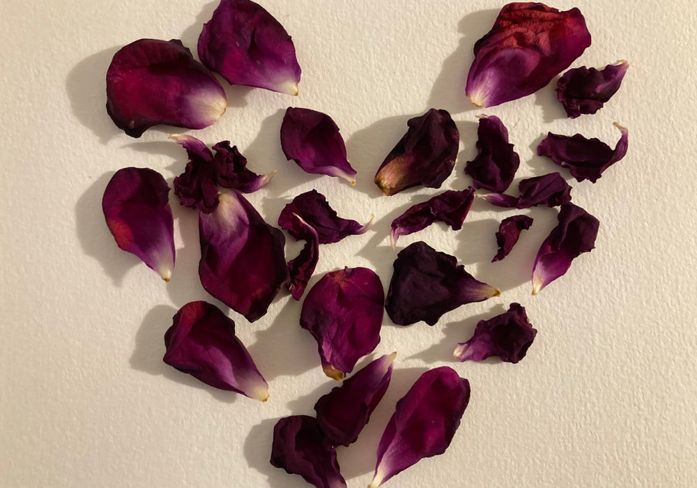 Healing From the Inside Out: How Polyvagal Therapy Promotes Resilience and Well-Being #PolyvagalTheory #TraumaHealing #NervousSystemRegulation #MindBodyConnection #MentalHealth
