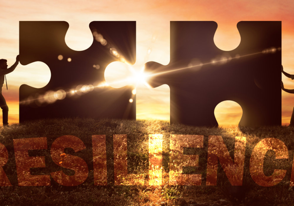 Building Resilience: Overcoming Challenges and Thriving 💪 #Resilience #MentalToughness #PersonalGrowth #OvercomingAdversity