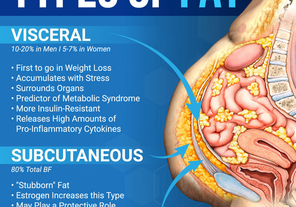 Shedding the Deep Stuff: A Science-Based Plan to Reduce Visceral Fat