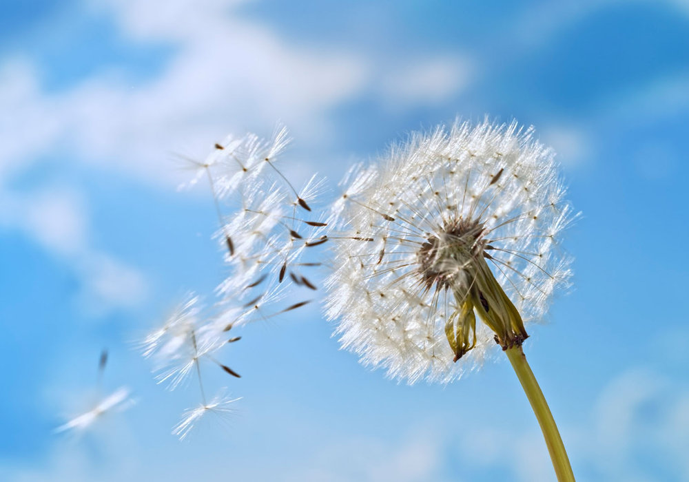 Feeling Uninspired? Unleash Your Inner Muse! #EmbraceYourMuse #SparkCreativity #FindYourFlow