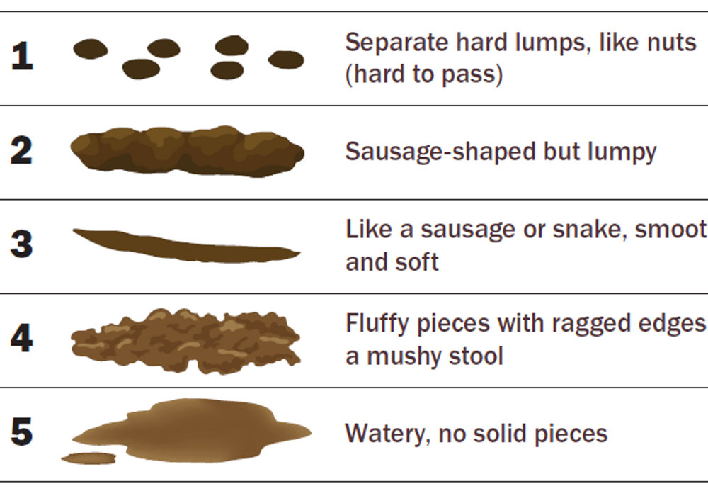 Is Your Child's Stool Pattern Normal? Understanding Bowel Movements in Kids