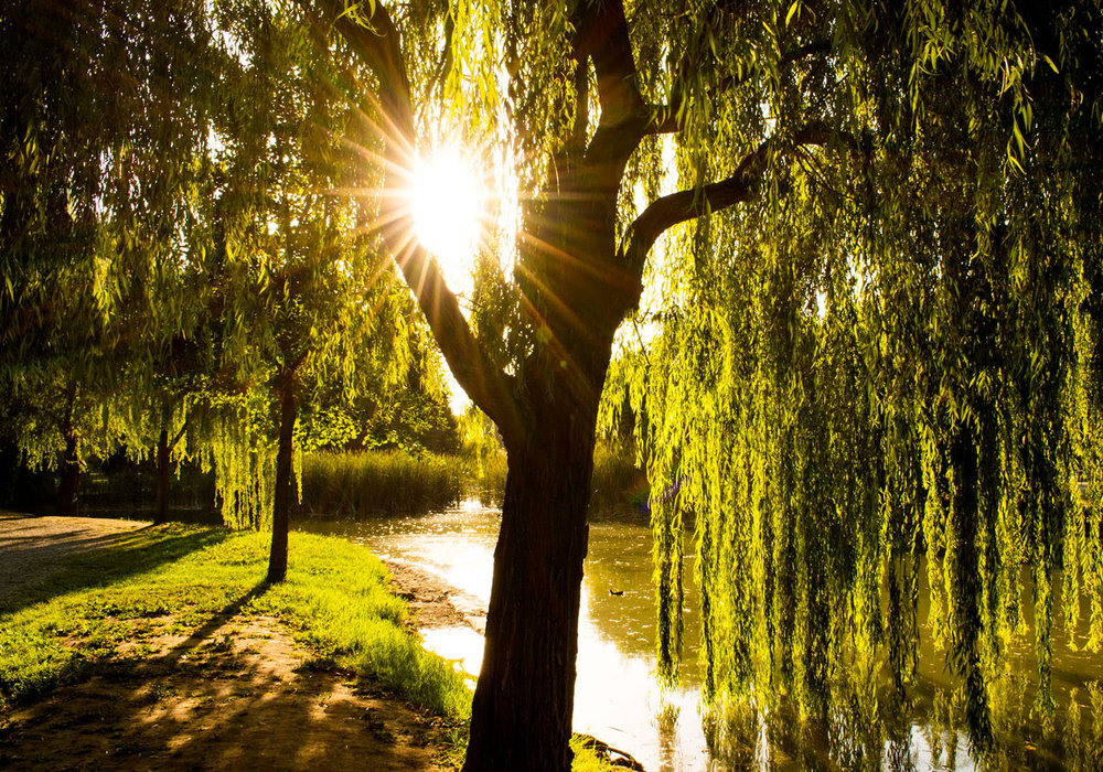 The Breath of the Universe: Reconnecting with the Cosmos Within #Breathwork #CosmosConnection #Interconnectedness #UniverseWithin