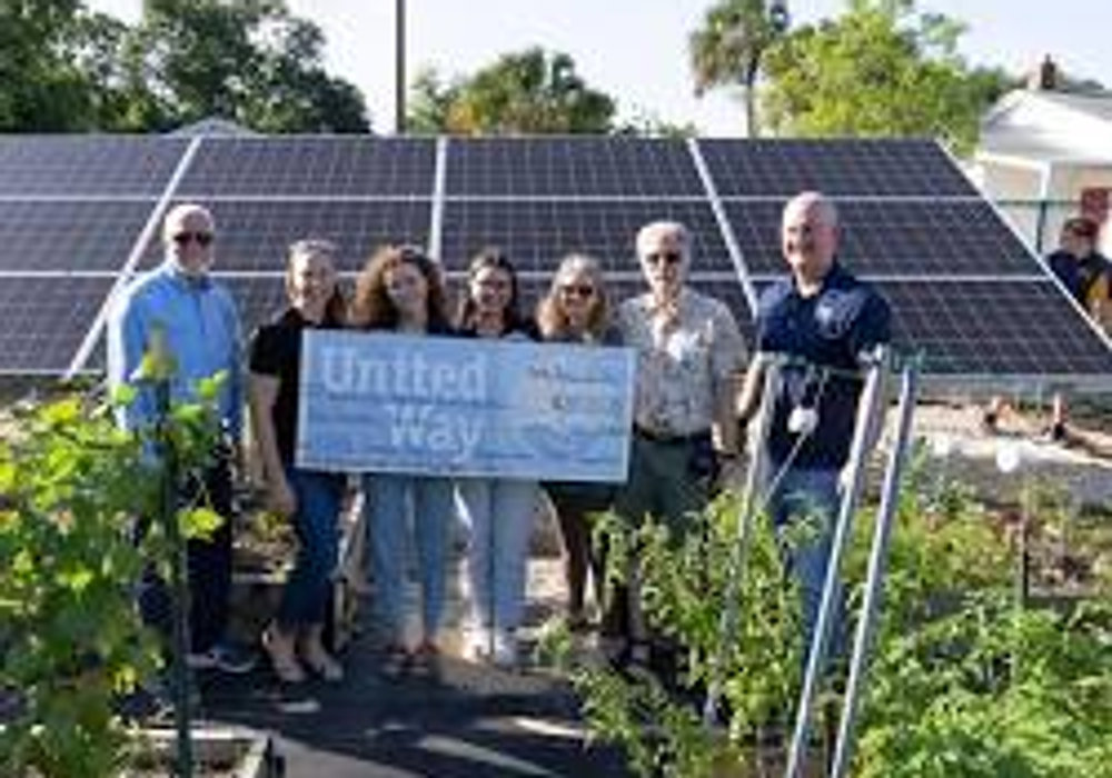 A Festival of Transition: Embracing Change and Building Resilience #TransitionMovement #CommunityBuilding #SustainableLiving